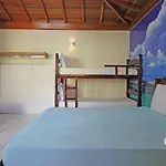 Flat Beija-Flor